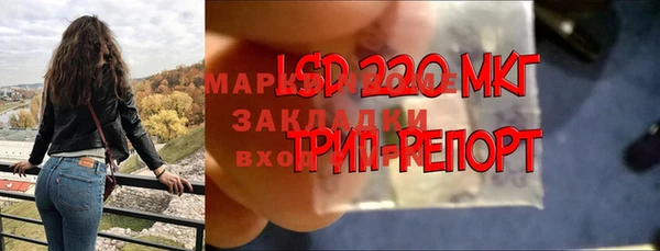 дурь Горняк