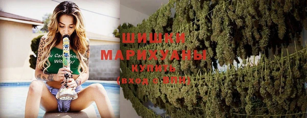 дурь Горняк