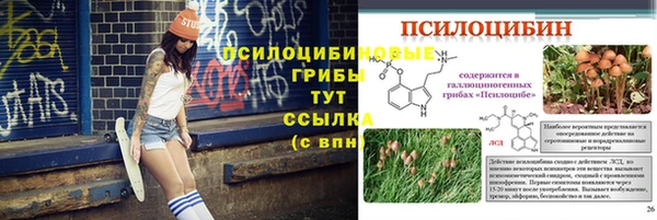 ECSTASY Горно-Алтайск