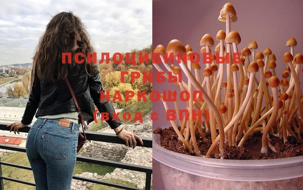дурь Горняк