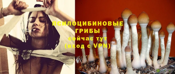 каннабис Горнозаводск