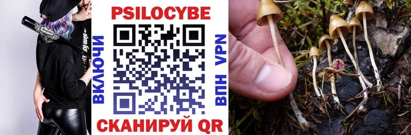 это наркотические препараты  Арзамас  Псилоцибиновые грибы Cubensis 